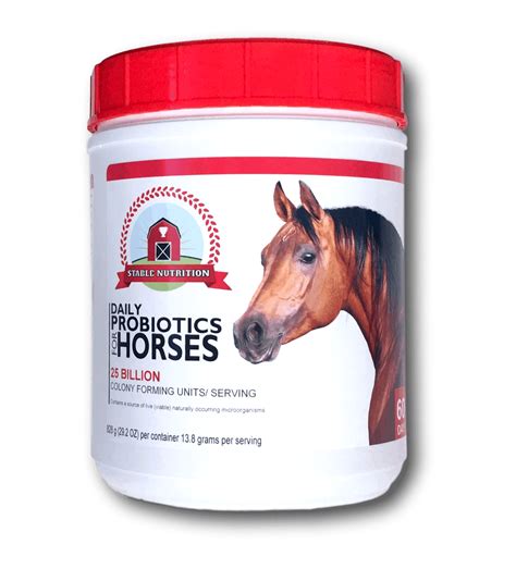 Is Your Horse Suffering from Digestive Issues? How a Magical Horse Probiotic Can Help